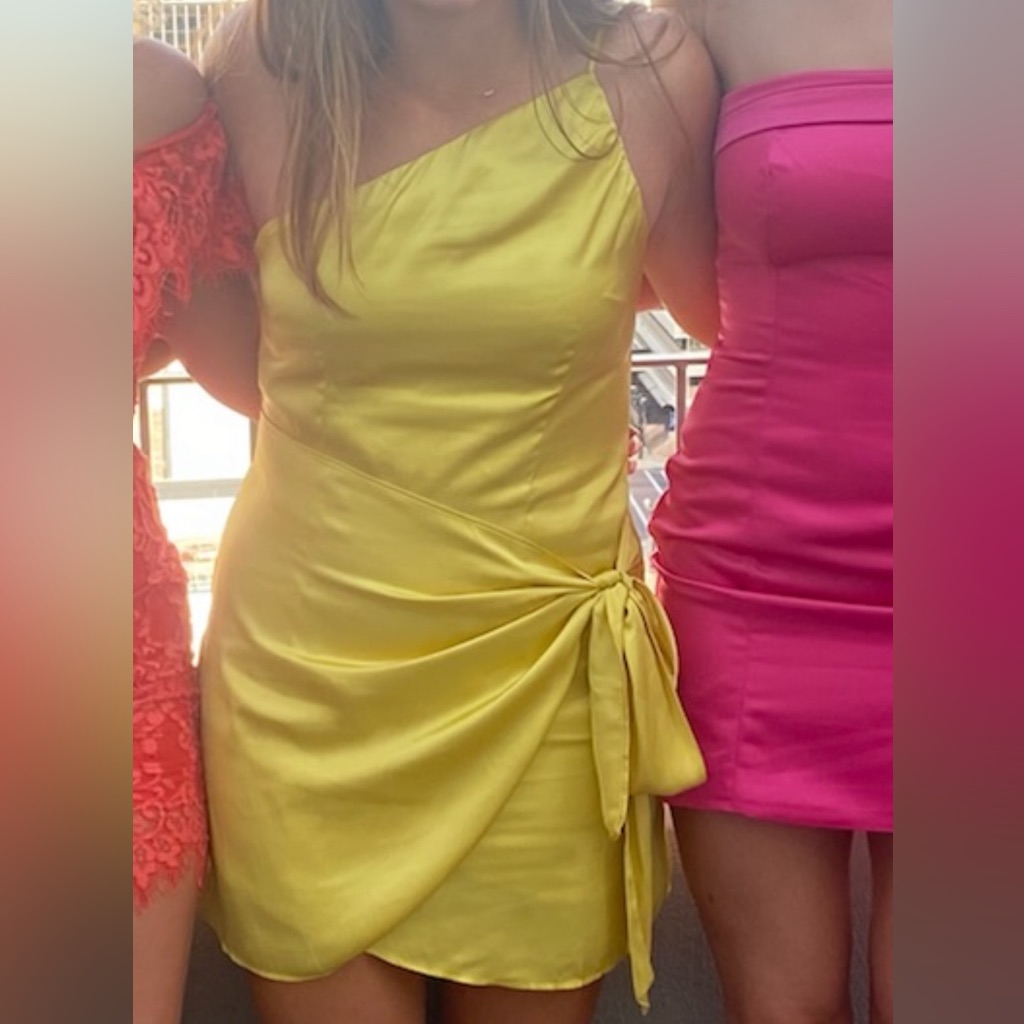 Lovers + Friends Karen Mini Dress